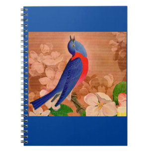Carnet oiseau bleu du bonheur