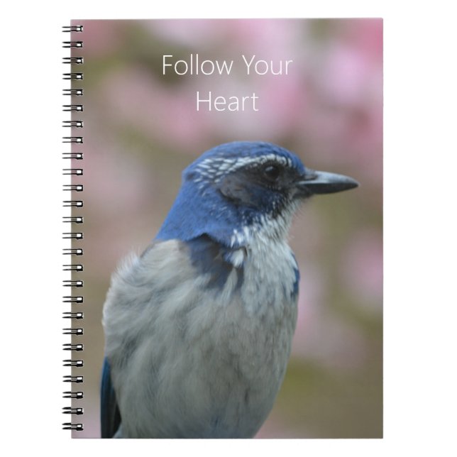 Carnet Oiseau bleu (ma photographie) (Devant)