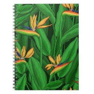 Carnet Oiseau de nuit du jardin du paradis