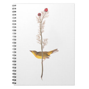 Carnet Oiseau de Paruline à capuchon Audubon sur Fleur ro