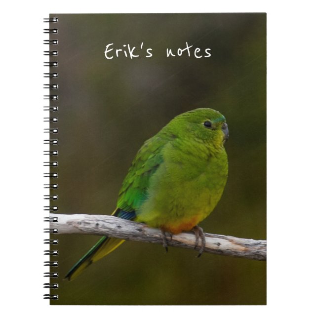 Carnet Oiseau de perroquet à ventre orange Australie (Devant)