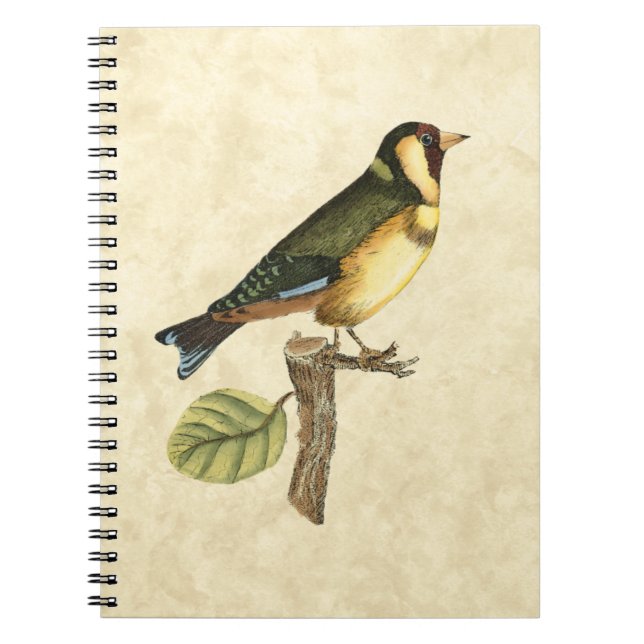 Carnet Oiseau jaune et vert perché sur une petite branche (Devant)
