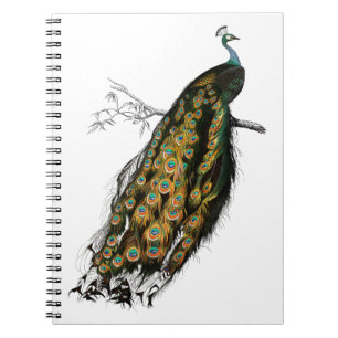 Carnet Oiseau paon indien vintage