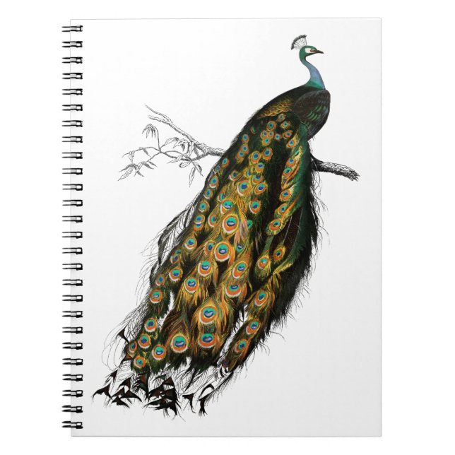 Carnet Oiseau paon indien vintage (Devant)