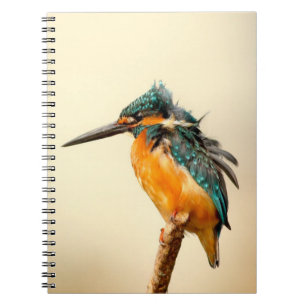Carnet Oiseau perché