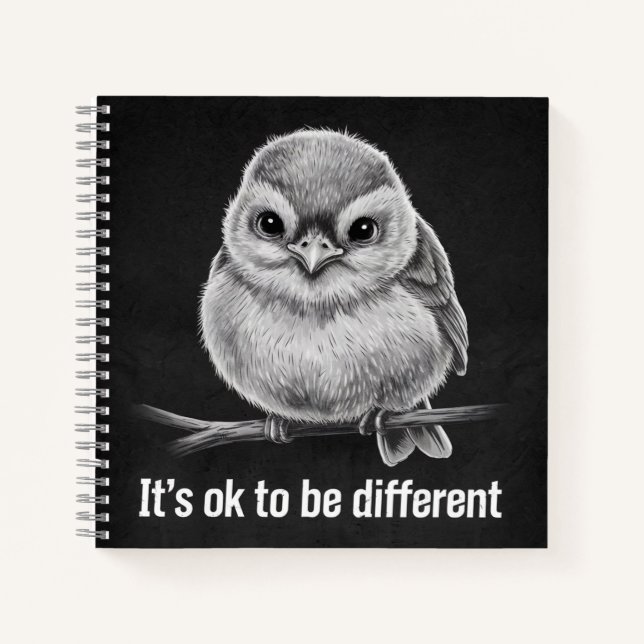 Carnet oiseau plumes (Devant)