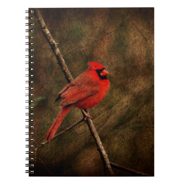 Carnet Oiseau rouge (Devant)