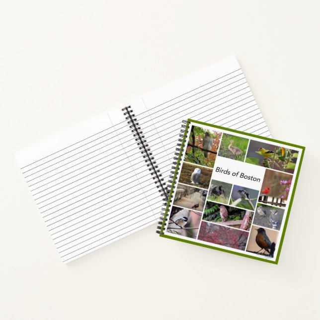 Carnet Oiseaux de Boston (Intérieur)