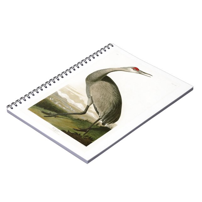 Carnet Oiseaux de John James Audubon de grue de Sandhill (Côté gauche)