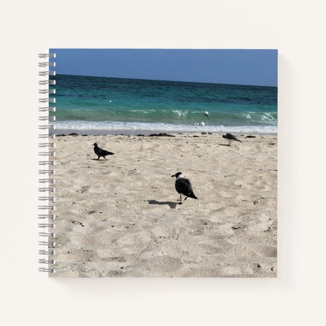 Carnet Oiseaux de mer & Gribouillages (Devant)