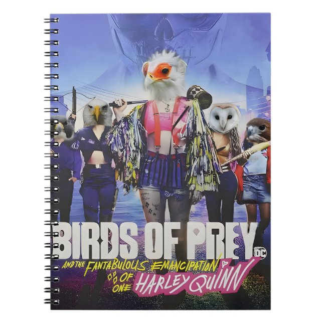 Carnet Oiseaux de proie : Une affiche d'Imaginaire en plu (Devant)
