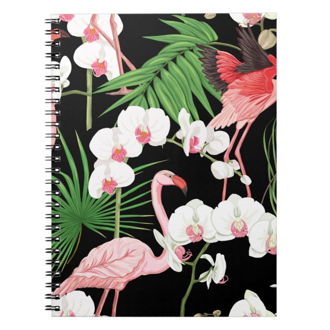 Carnet Oiseaux Plante tropicaux Illustration colorée (Devant)