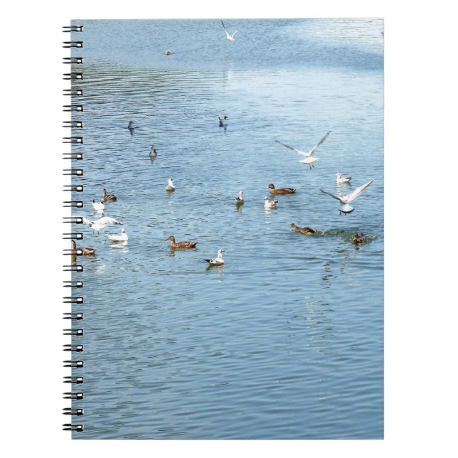 Carnet Oiseaux Sur La Rivière D'Été (Devant)