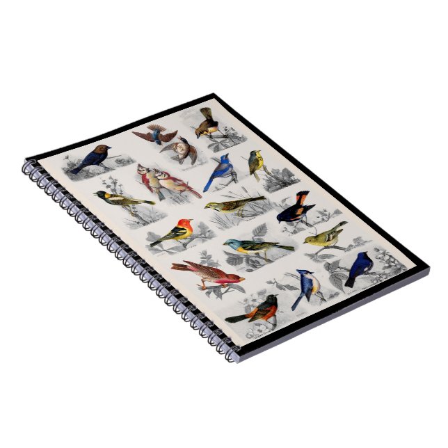 Carnet Old Fashioned Birds Notebook (Côté Droit)