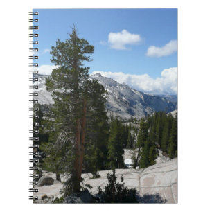 Carnet Olmsted Point III dans le parc national de Yosemit