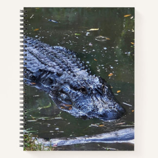 Carnet Ombre dans les Hauts-Fonds