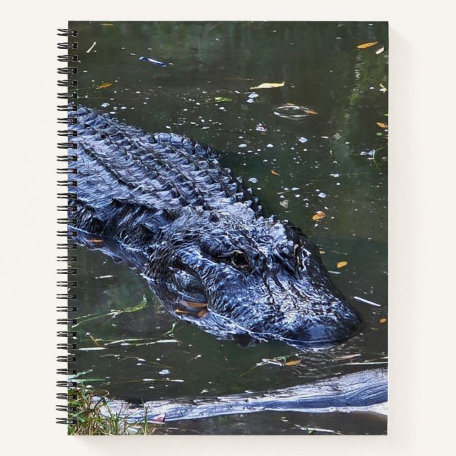 Carnet Ombre dans les Hauts-Fonds (Devant)