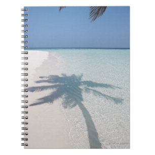 Carnet Ombre d'un palmier sur une plage abandonnée d'îl