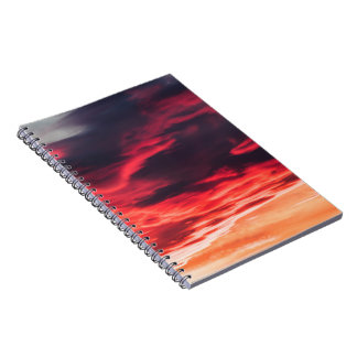 Carnet onde féline