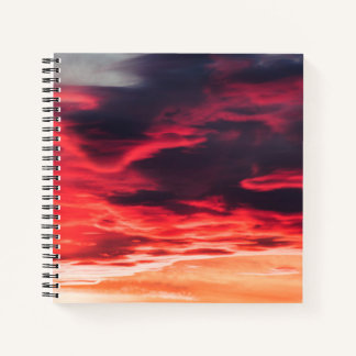 Carnet onde féline