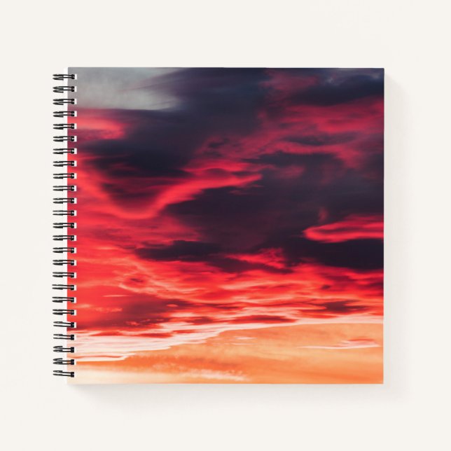 Carnet onde féline (Devant)