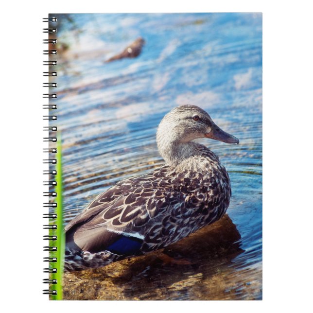 Carnet Ondulations (Devant)