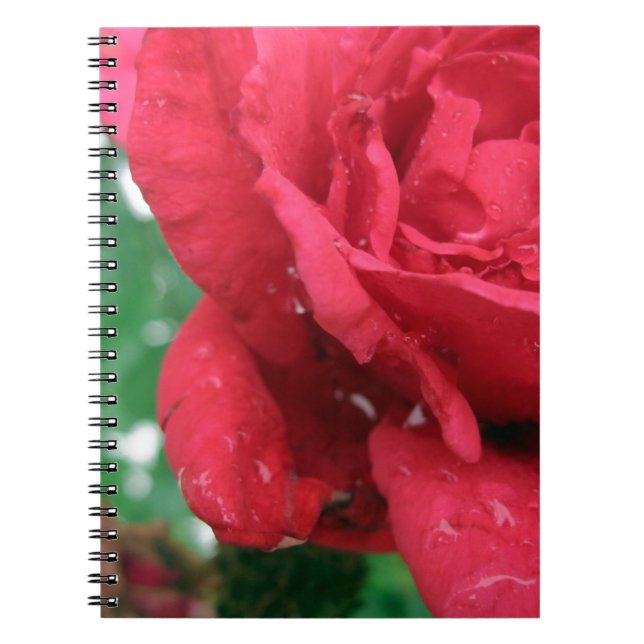 Carnet One Red Rose (Devant)