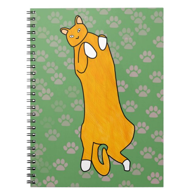 Carnet Orange Cat Laying on Back (Devant)