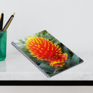 Carnet Orange Guzmania Conifera Flore tropicale