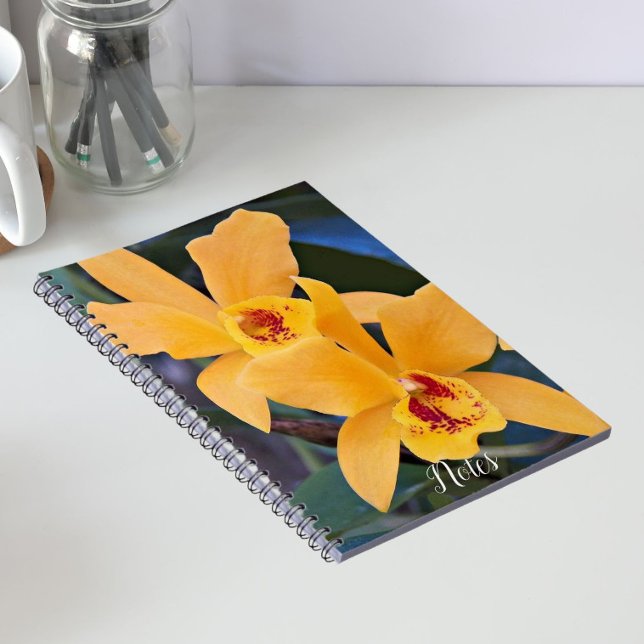 Carnet Orange Orchidée fleurit (In Situ)
