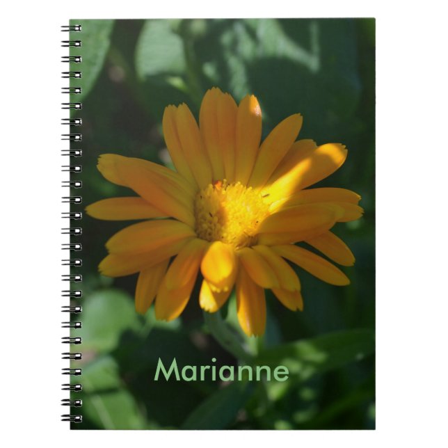 Carnet Orange Pot Marigold Fleur personnalisée (Devant)