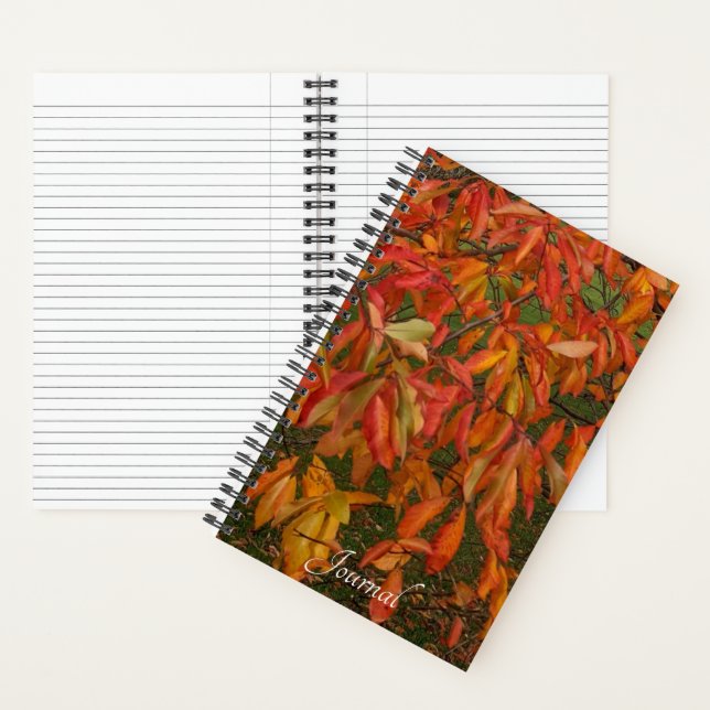 Carnet Orange Sourwood Automne Feuilles Botanique (À l'intérieur)