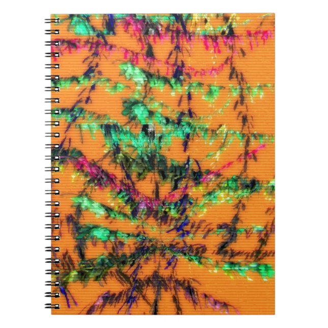 Carnet Orange, vous êtes content (Devant)