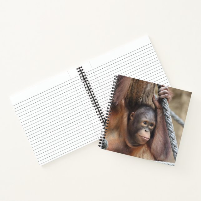 Carnet OrangUtan 002 (Intérieur)