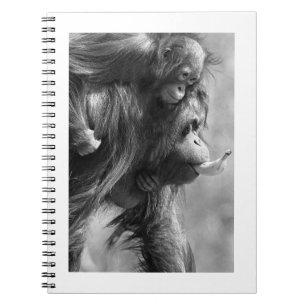 Carnet Orangutan#8-Notebook