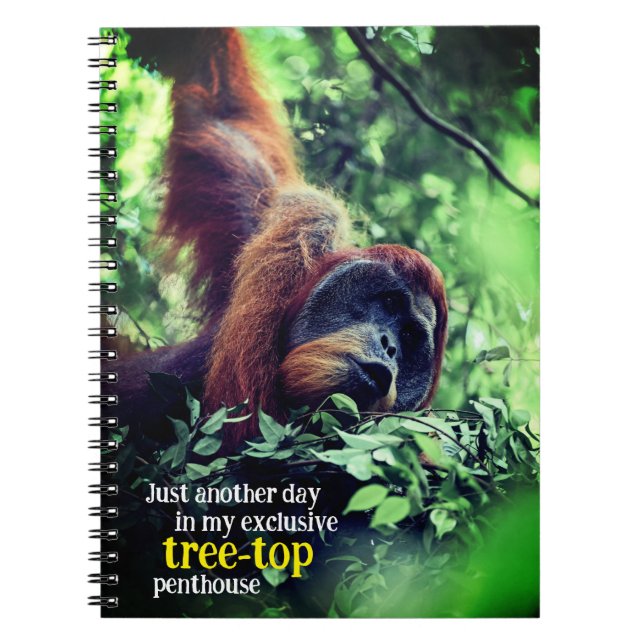 Carnet Orangutan se relaxer dans l'arbre (Devant)