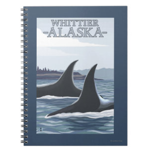 Carnet Orca Whales #1 - Whittier, Alaska