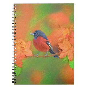 Carnet Orchard Oriole Songbird Peinture Oiseau original