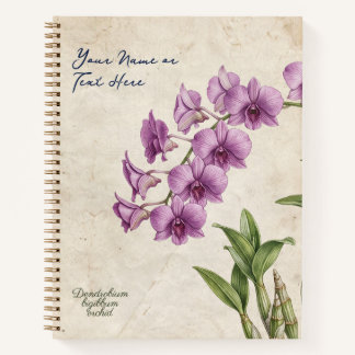 Carnet Orchidée Dendrobium Bigibbum sur mesure de style v