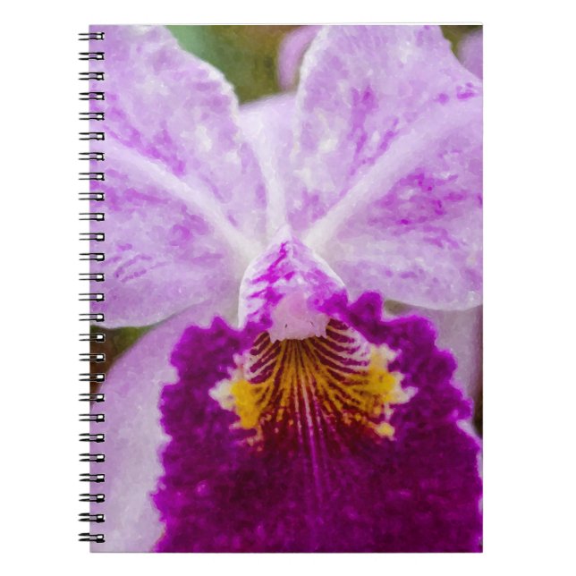 Carnet Orchidée mauve de passion (Devant)