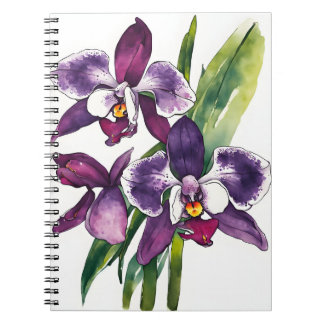 Carnet Orchidée Zygopetalum - Fleurs aquarelle
