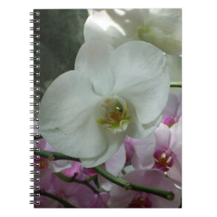 Carnet Orchidées blanches et violettes