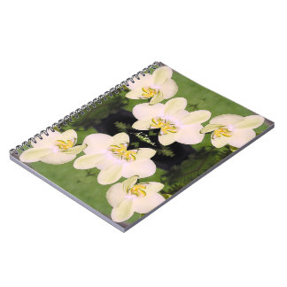 Carnet Orchidées blanches sur un arrière - plan vert
