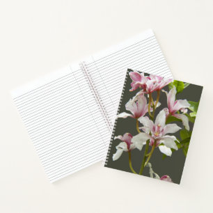 Carnet Orchidées Cymbidium Insigne Rose Floral