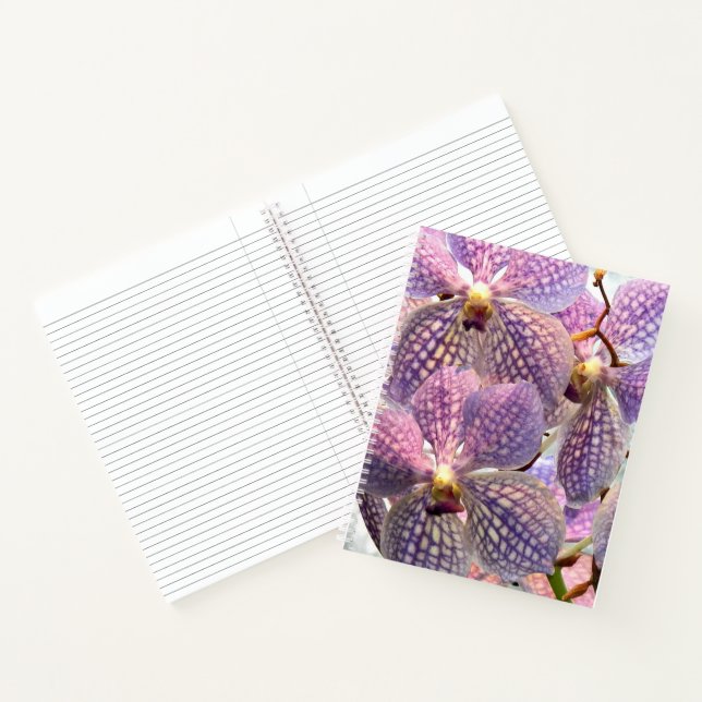 Carnet Orchidées Vanda Violettes Florales (Intérieur)