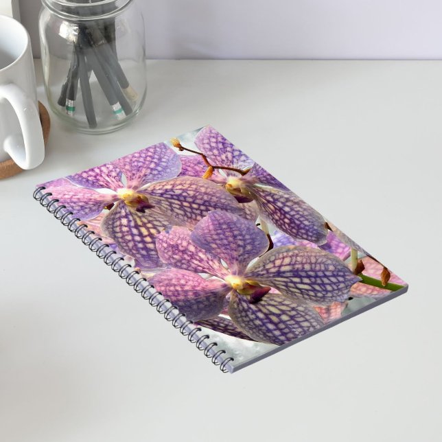 Carnet Orchidées Vanda Violettes Florales (In Situ)