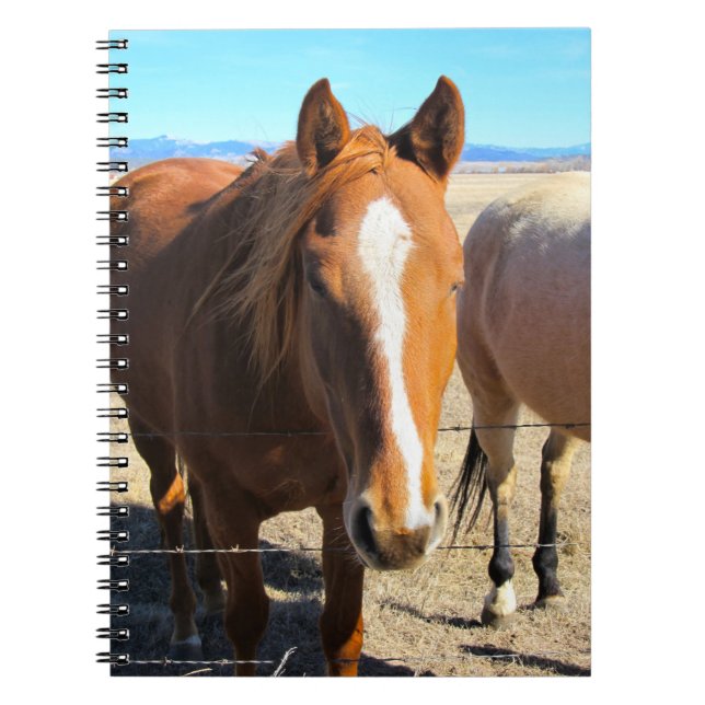Carnet Ordinateur portable à cheval (Devant)