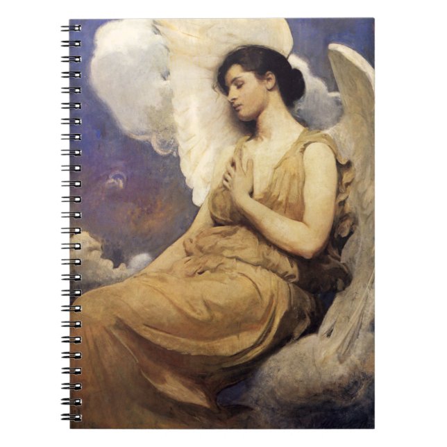Carnet Ordinateur portable Abbott Handerson Thayer Wingin (Devant)