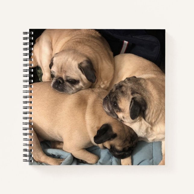 Carnet Ordinateur portable carlin Love (Devant)