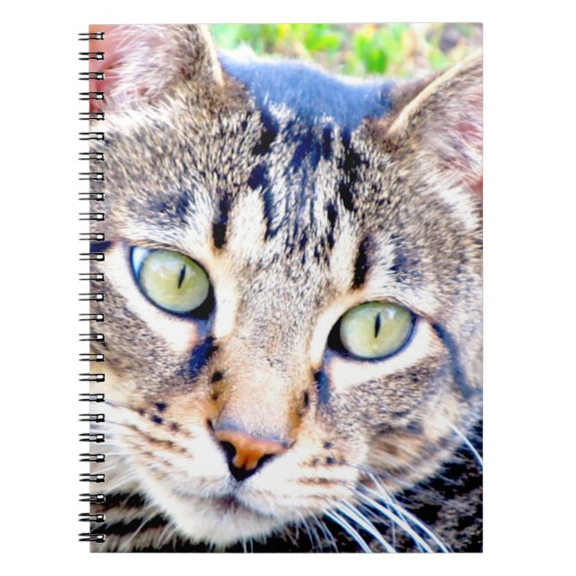 Carnet Ordinateur portable Cat (Devant)